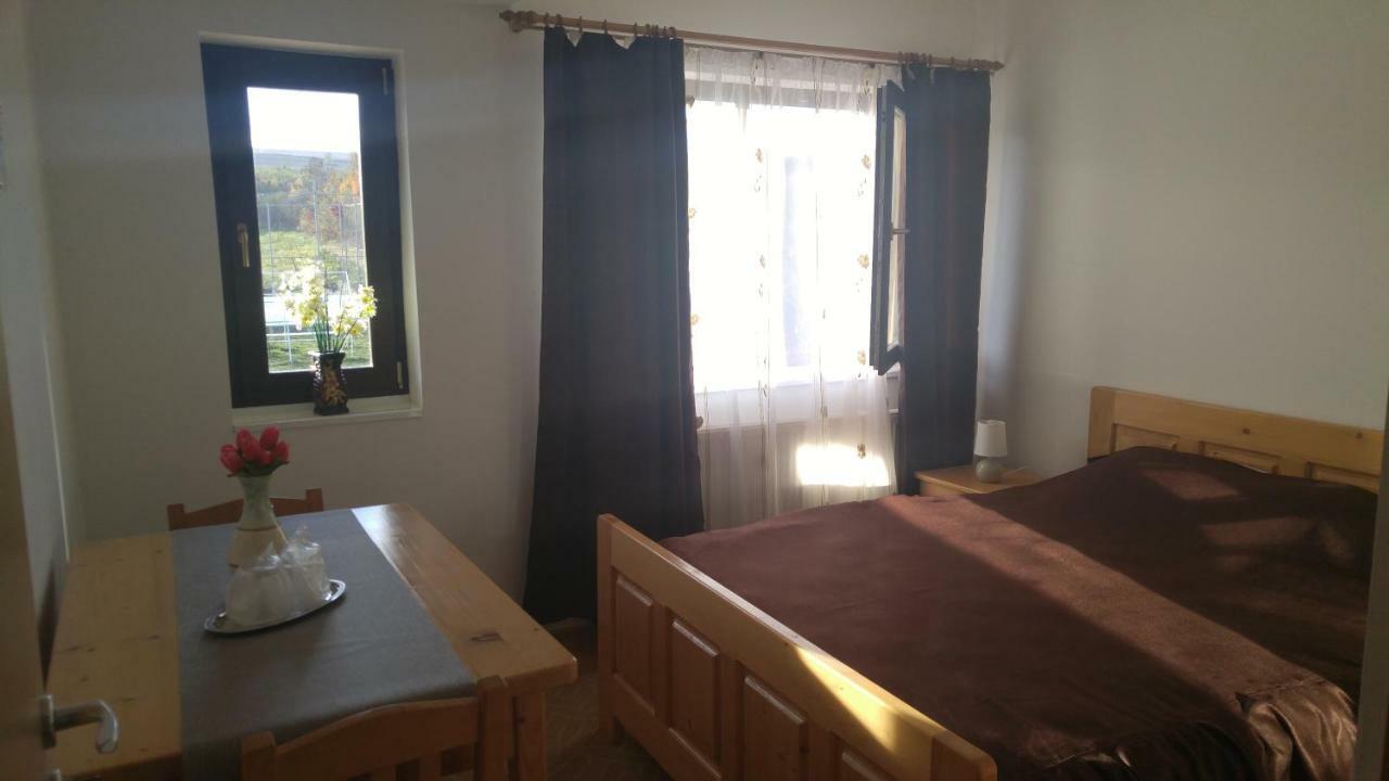 Pensiunea Casa Vanatorului Hotel Oteleni Ngoại thất bức ảnh