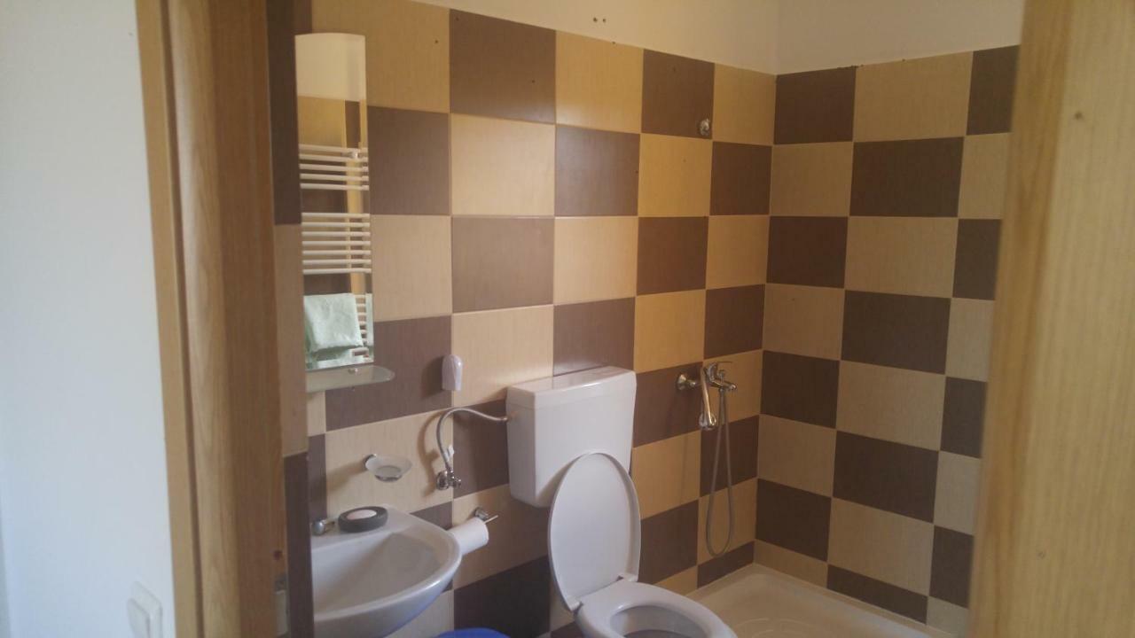 Pensiunea Casa Vanatorului Hotel Oteleni Ngoại thất bức ảnh