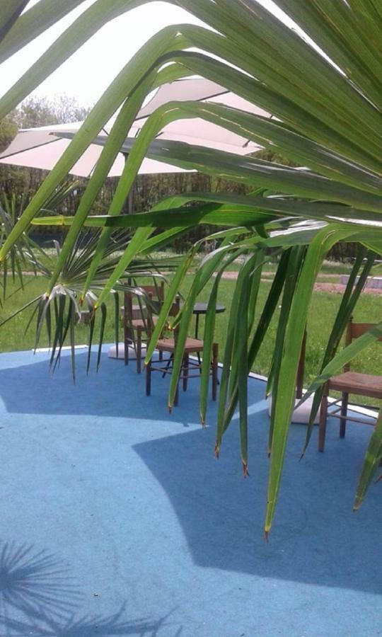 Pensiunea Casa Vanatorului Hotel Oteleni Ngoại thất bức ảnh