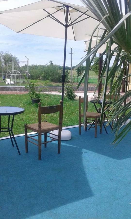 Pensiunea Casa Vanatorului Hotel Oteleni Ngoại thất bức ảnh