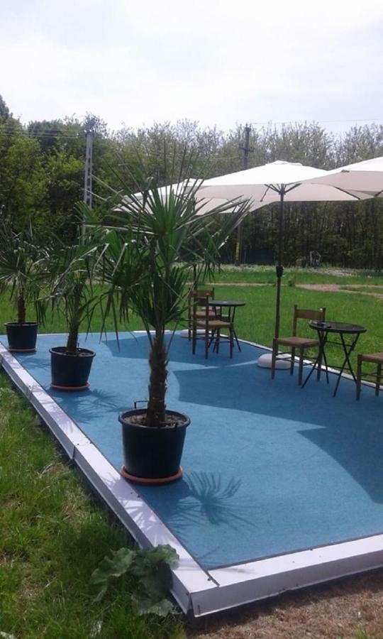 Pensiunea Casa Vanatorului Hotel Oteleni Ngoại thất bức ảnh